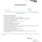 Séance publique du Conseil municipal